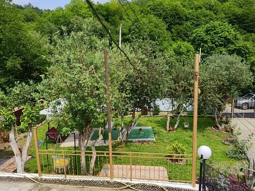 "Райский уголок Асэлина" частный сектор, Пицунда Фото: 6 из 50