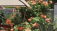 "Green House" дом под-ключ, Архипо-Осиповка