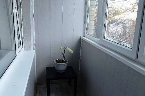 1-комнатная квартира Фото: 7 из 8