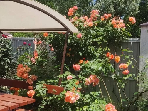 "Green House" дом под-ключ, Архипо-Осиповка Фото: 2 из 30