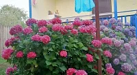 Дом под-ключ 1-й переулок Саят Нова 14/А, Гагра