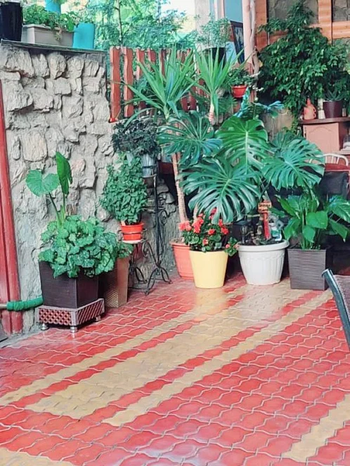 "Волна" частный сектор, Адлер Фото: 4 из 21