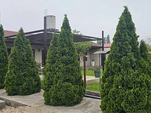 "Амрапха" гостевой дом, Гудаута Фото: 9 из 29