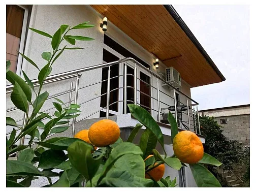 "SOVA" мини-гостиница, Пицунда Фото: 6 из 45