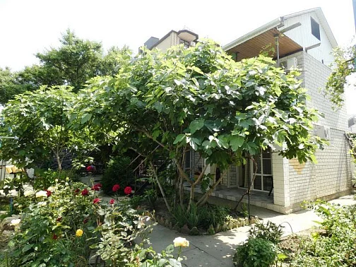 Мини-гостиница Самбурова 198, Анапа Фото: 3 из 4