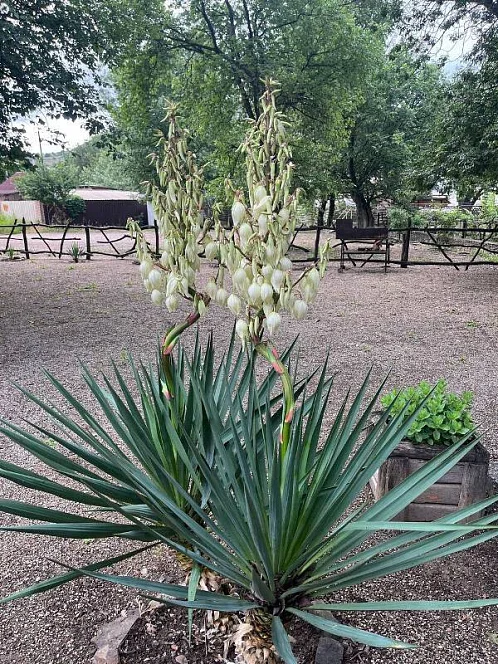 "Райский островок" частный сектор, Судак Фото: 29 из 30