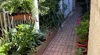 "Белый Виноград" гостевой дом, Адлер