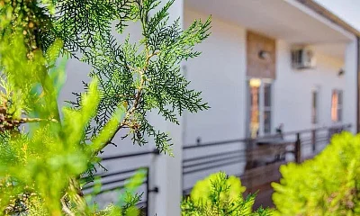 Мини-гостиница Толстого 26, Геленджик Фото: 1 из 47