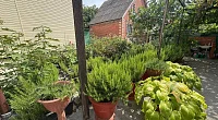 Частный сектор Партизанская 8, Дивноморское