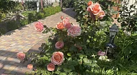 "Бон Вояж" гостевой дом, Курортное