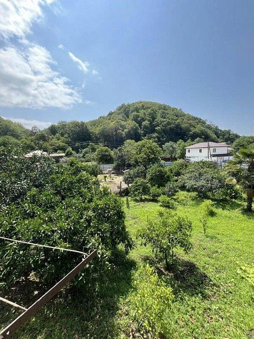 "Летний Рай" частный сектор, Лдзаа Фото: 8 из 50