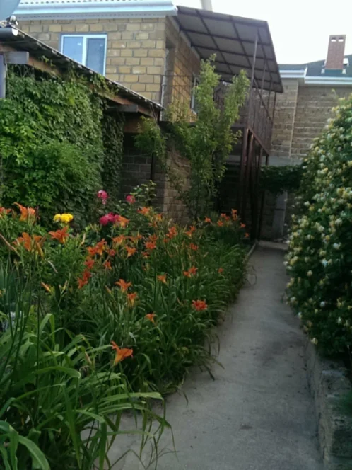 "НАШ КАЗАНТИП" гостевой дом, Новоотрадное Фото: 2 из 51