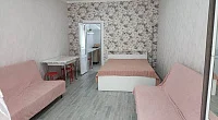 1-комнатная квартира Олега Кошевого 15 бокс 100, Дивноморское