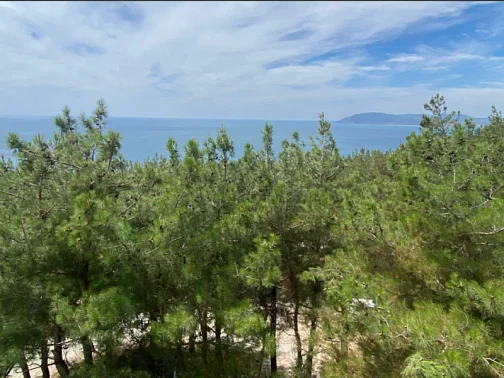 "Рио" гостевой дом, Кабардинка Фото: 7 из 29