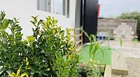 "У Амалии" частный сектор, Новый Афон