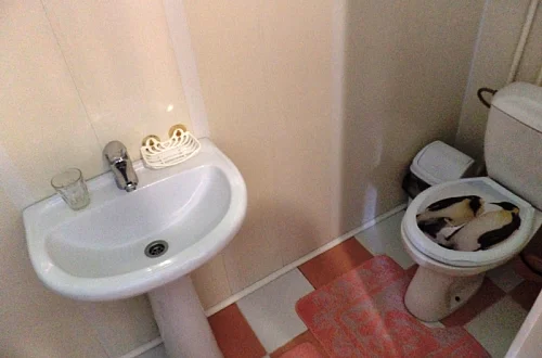 Дом под-ключ Фото: 8 из 7