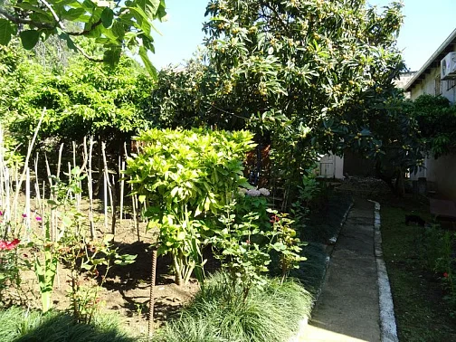 Частный сектор Кабардинская 5-й тупик 4, Гагра Фото: 6 из 33