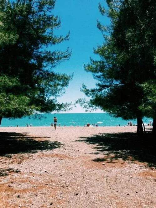 "Pine Beach Hotel" отель, Лдзаа Фото: 35 из 41