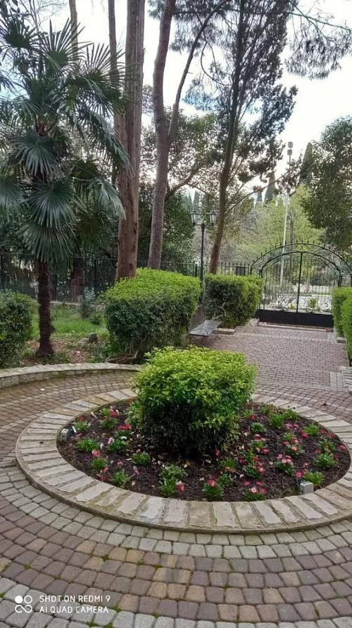 1-комнатная квартира Депутатская 10/Е, Сочи Фото: 10 из 32