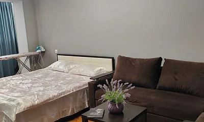 1-комнатная квартира Абазгаа 49/1 кв 54, Гагра Фото: 1 из 10
