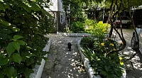"Визави" частный сектор, Архипо-Осиповка