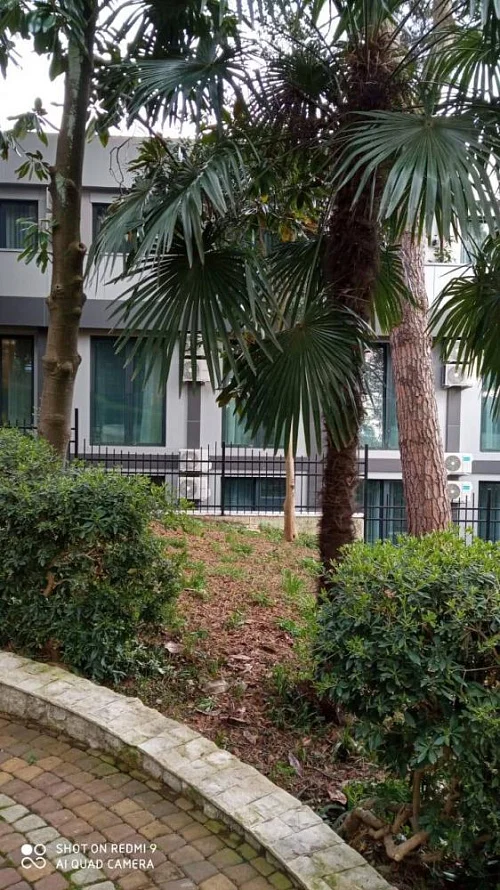 1-комнатная квартира Депутатская 10/Е, Сочи Фото: 8 из 32