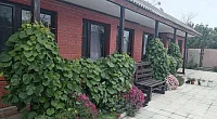 "Мечта" частный сектор, Пересыпь