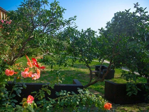 "Мэри" гостиница, Новый Афон Фото: 15 из 51