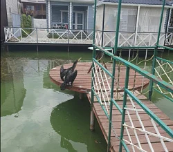 Дом под-ключ Песчаная 34