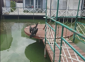 Дом  Песчаная 34