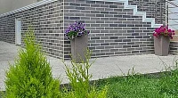 "У Аллы" частный сектор, Хоста