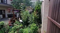 "Фольклор" гостевой дом, Анапа