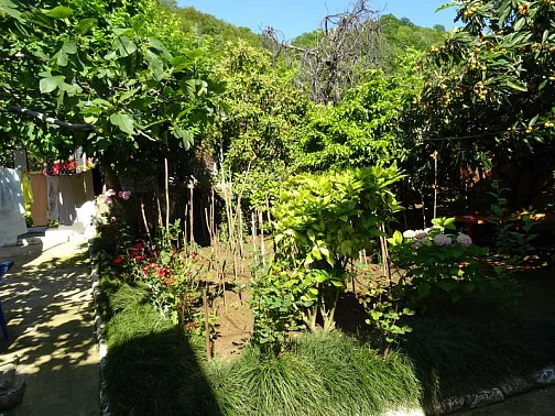 Частный сектор Кабардинская 5-й тупик 4, Гагра Фото: 7 из 33