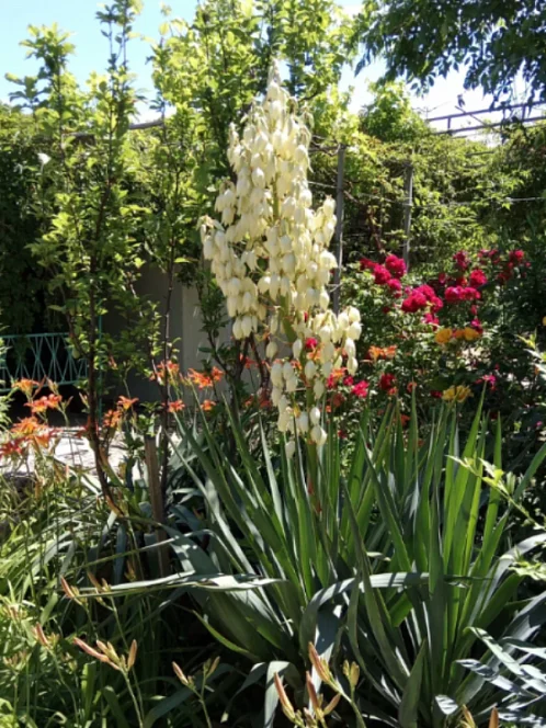 "НАШ КАЗАНТИП" гостевой дом, Новоотрадное Фото: 12 из 51