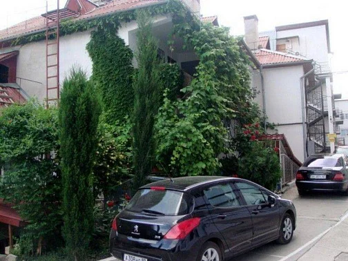 "Глициния - Дельфин" эллинг, Алушта Фото: 2 из 51