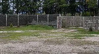 "Сандро" мини-гостиница, Пицунда