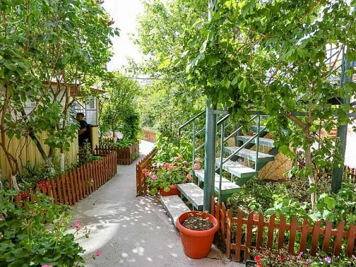 Гостевой дом Тенистая 20, Геленджик Фото: 8 из 51