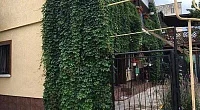 "У Львовны" гостевой дом, Евпатория