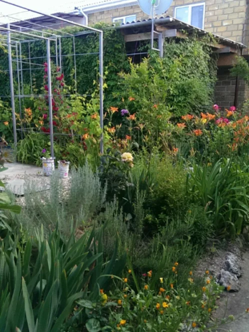 "НАШ КАЗАНТИП" гостевой дом, Новоотрадное Фото: 3 из 51