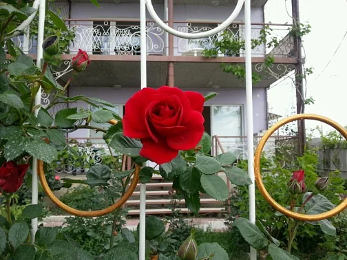 "ТеремОК" гостевой дом, Крым Фото: 2 из 4