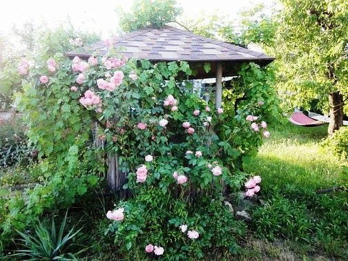 Частный сектор ул. Косоногова, Героевское Фото: 14 из 30