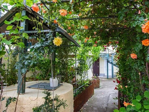 Гостевой дом Тенистая 20, Геленджик Фото: 4 из 51