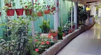 "Соня" частный сектор, Цандрипш