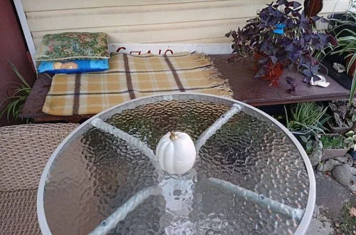 1-комнатная квартира Фото: 4 из 3