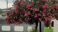 Дом под-ключ Аидгылар 17, Сухум