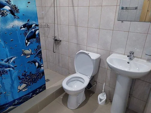 "У Ларисы" частный сектор, Пицунда Фото: 22 из 22