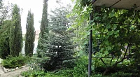 "Ласточкино гнездо" гостевой дом, Феодосия