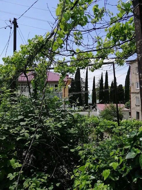 Дом под-ключ Лакоба 56/А, Новый Афон Фото: 14 из 31