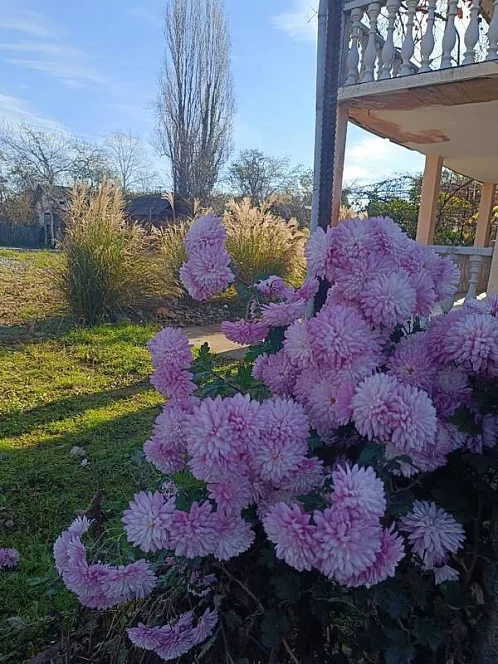 "У Вадима" гостевой дом, Агудзера Фото: 10 из 23