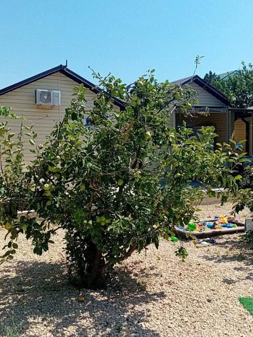 "Уютные домики" частный сектор, Кучугуры Фото: 18 из 49